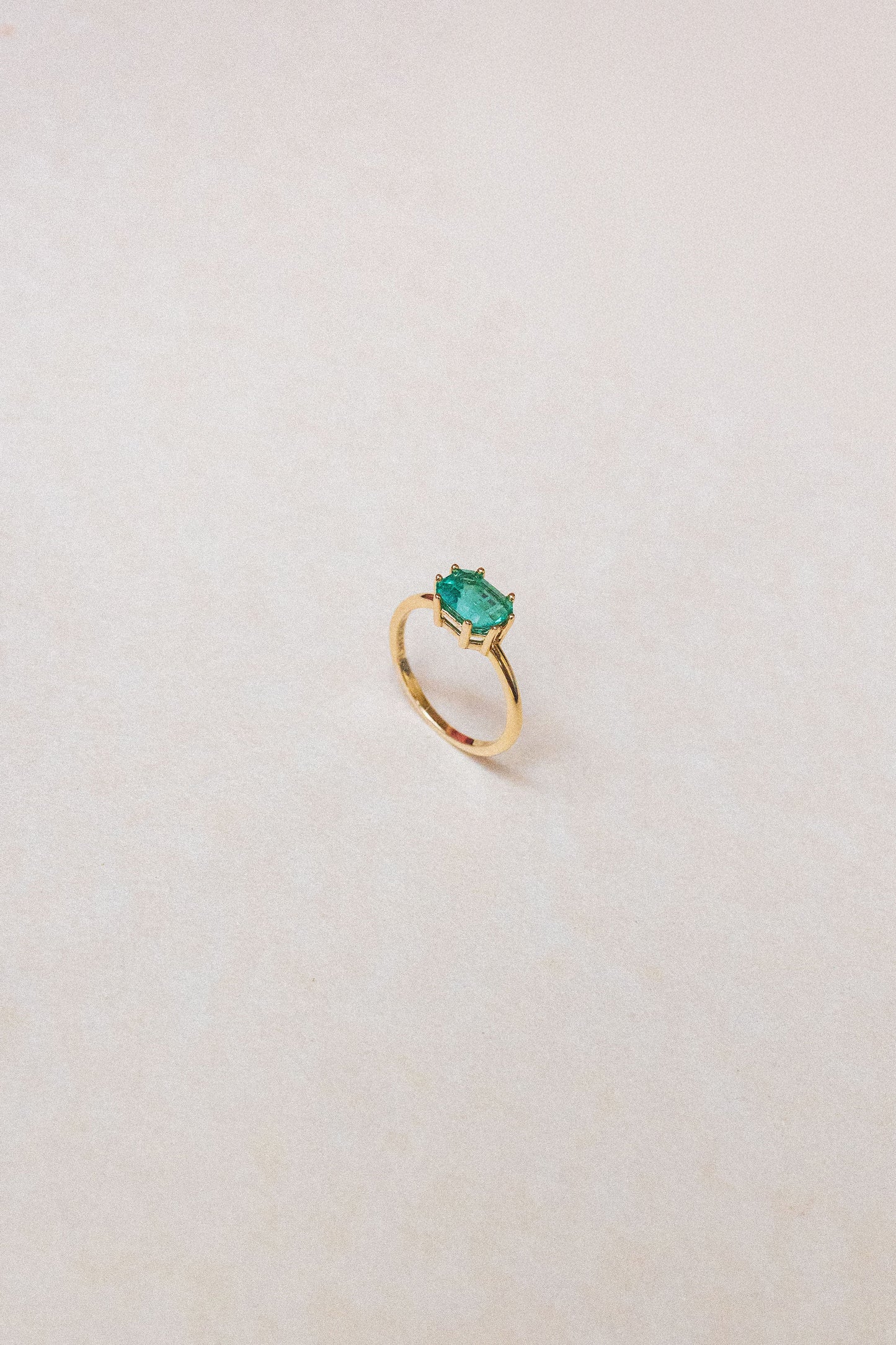 Anillo Barracuda