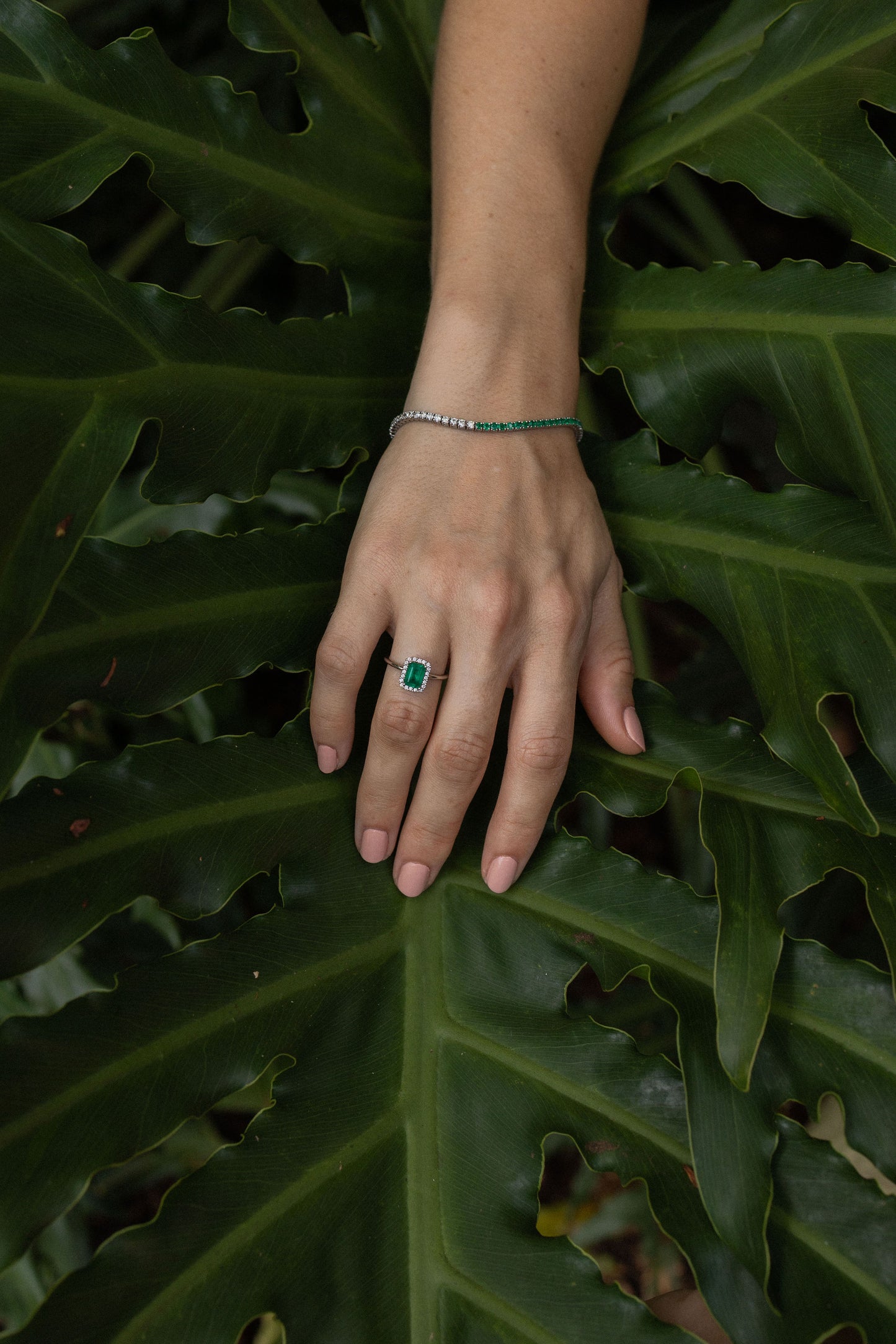 Anillo Malibú
