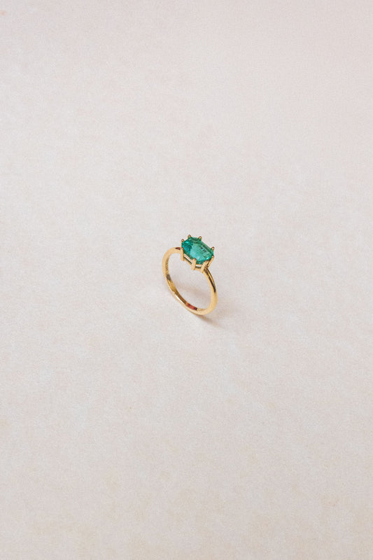 Anillo Barracuda