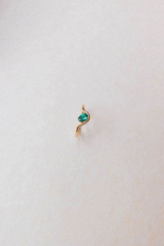 Anillo Morena