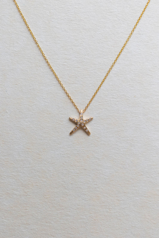 Dije Starfish