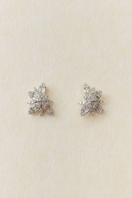 Flor cluster