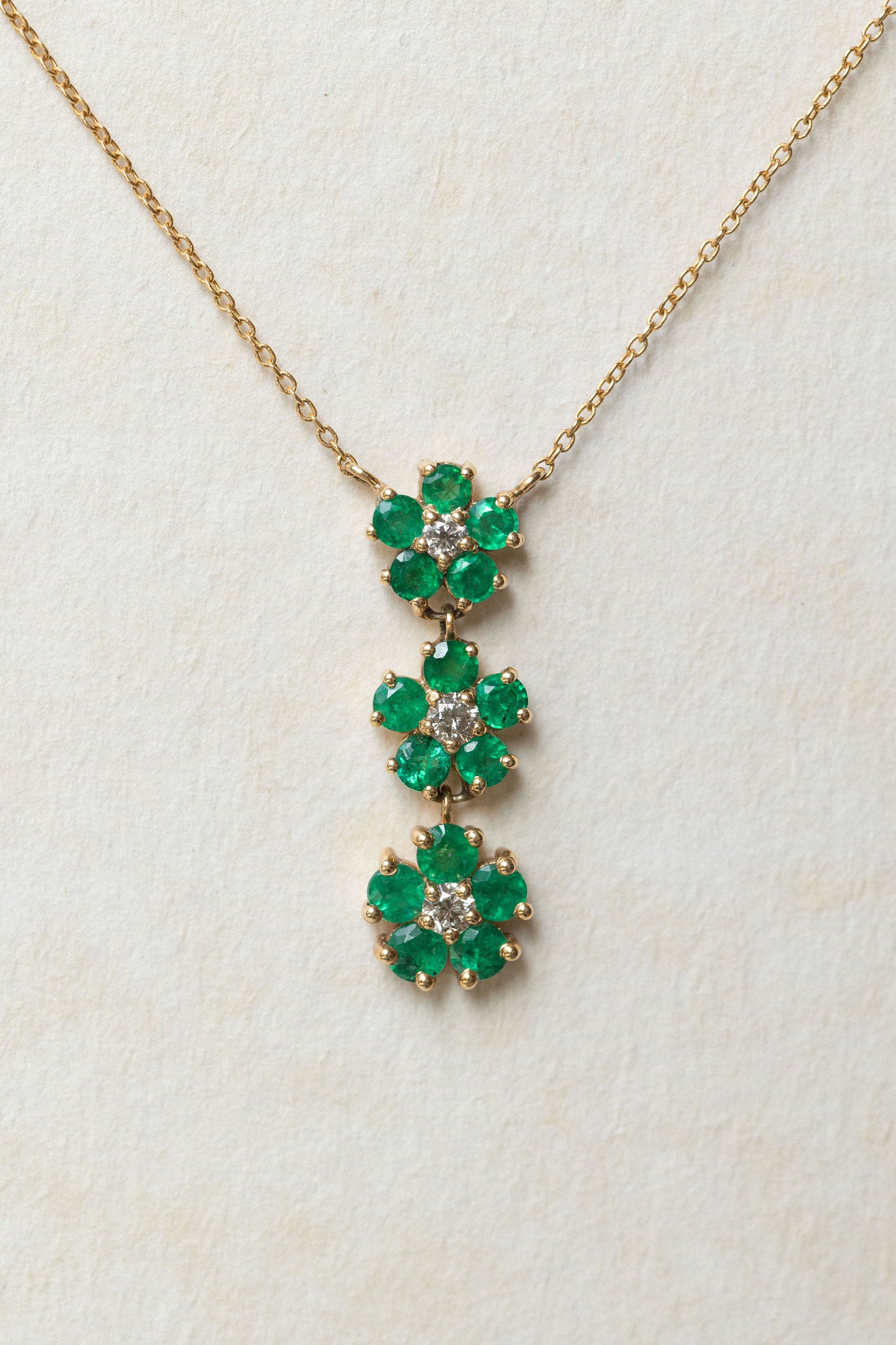 Collar Flora