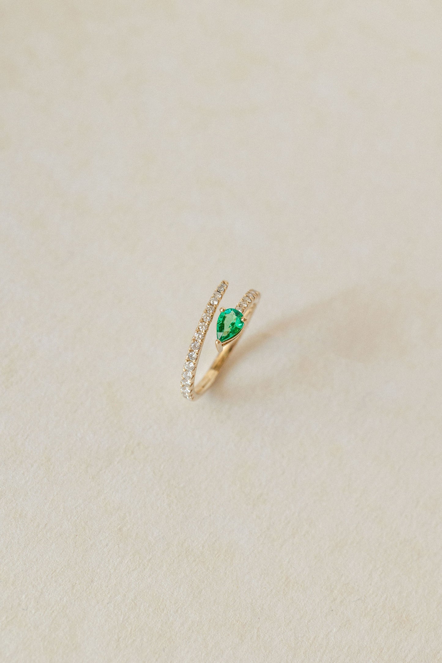 Anillo Florida