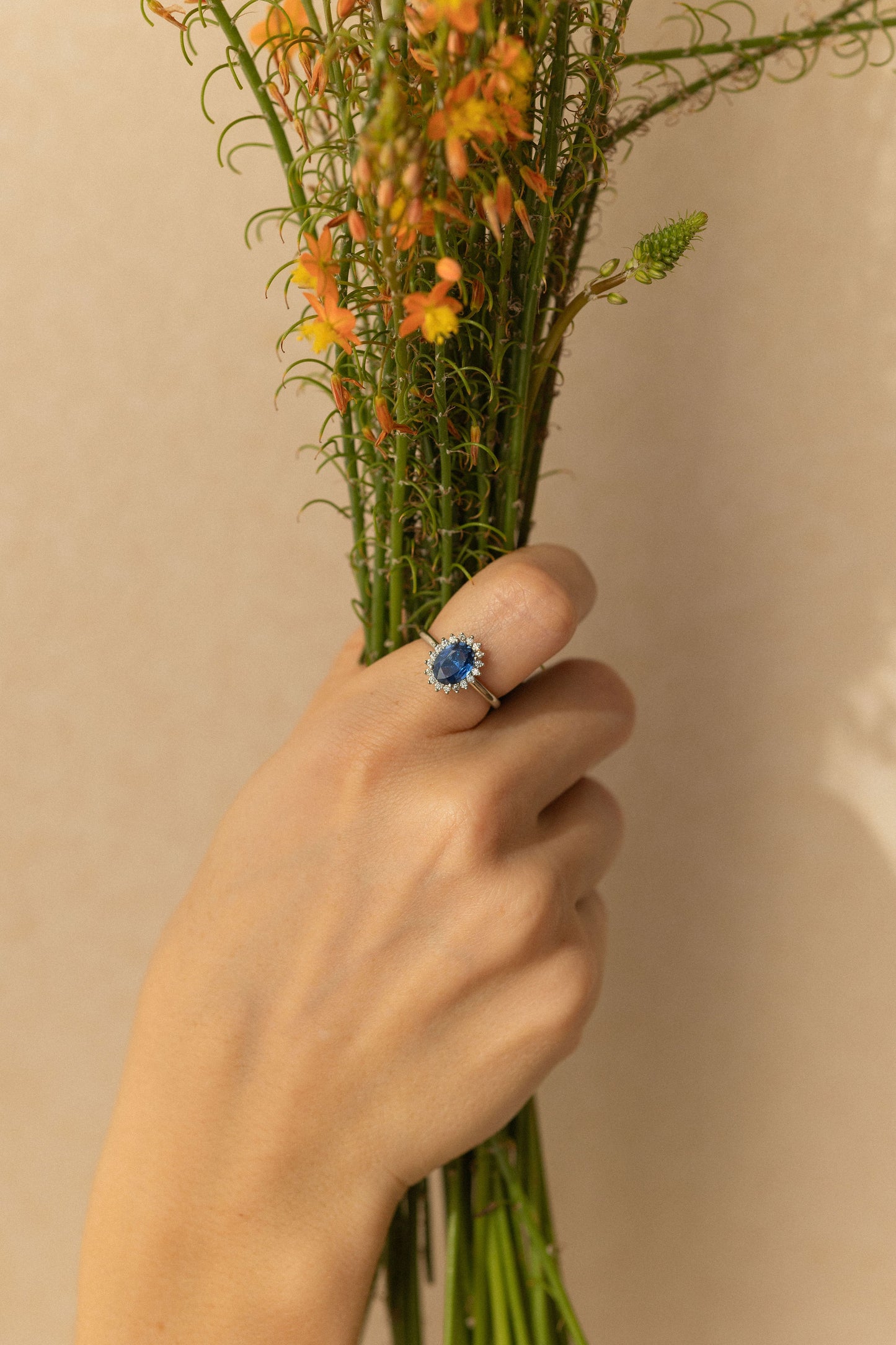 Anillo Malibú